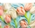 Picture of TULIPAN FASCIKL S ZIPOM