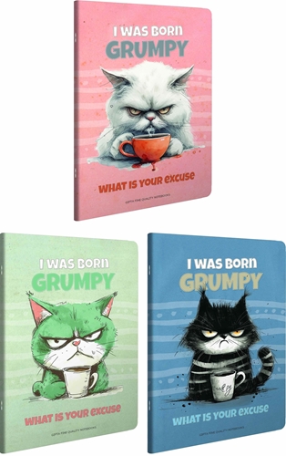Picture of GRUMPY NOTES BILJEŽNICA A4  CRTE